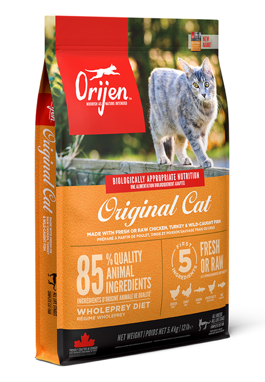 Original Cat